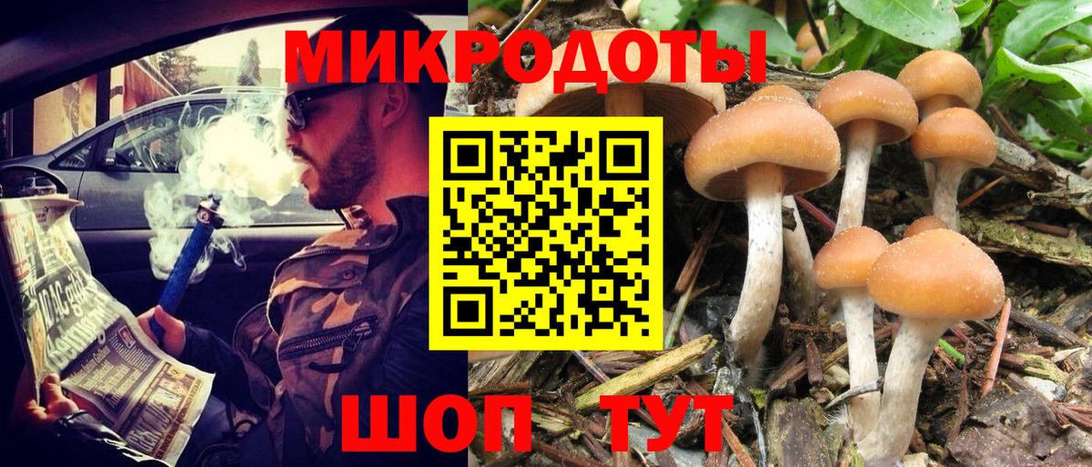 Галлюциногенные грибы прущие грибы Лабытнанги