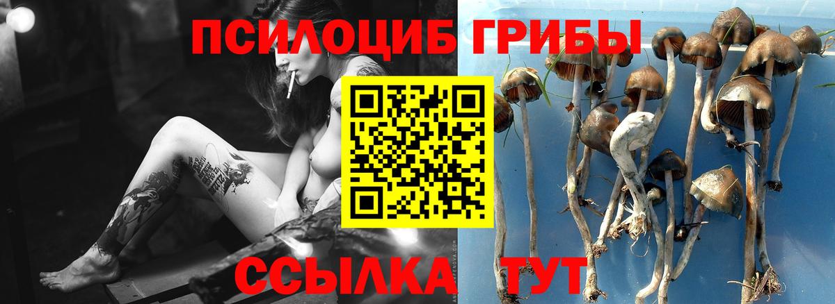Псилоцибиновые грибы прущие грибы  Вход с VPN  Галлюциногенные грибы мицелий  Лабытнанги 